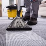 Carpet sweeper