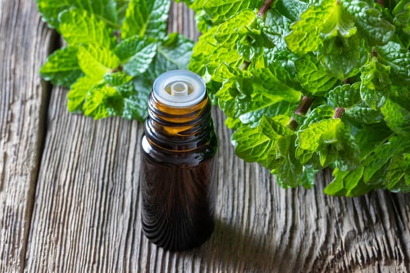 Peppermint essential oil