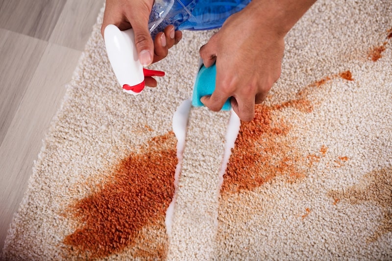 Cleaning a stained carpet by hand