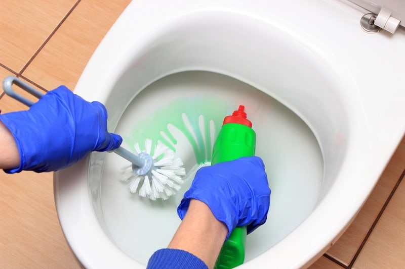 Cleaning A Toilet Bowl 