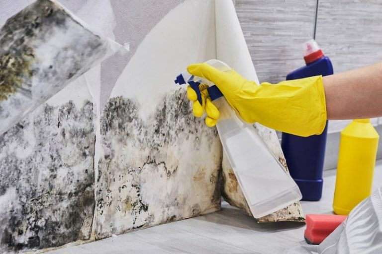 How to Get Mould Off a Washing Machine's Rubber Seal