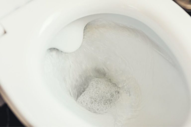 How to Remove Limescale From a Toilet (Including Below the Waterline)