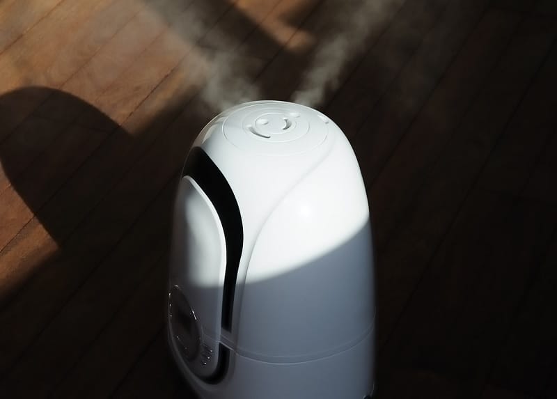 Humidifier emitting steam