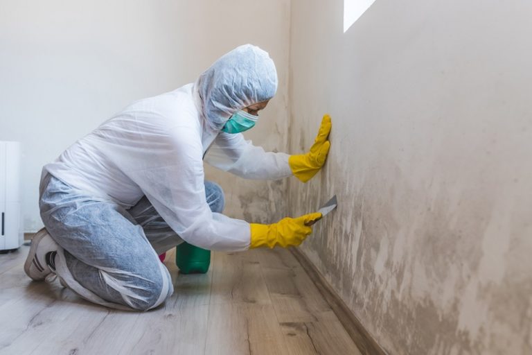 How to Clean Mould Off Walls