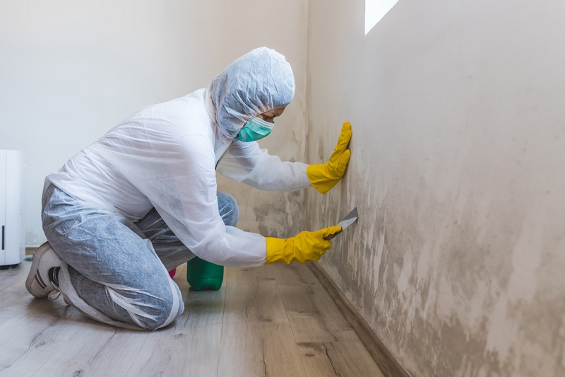 Wearing protective gear to remove mould