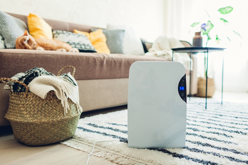 Dehumidifier in living room