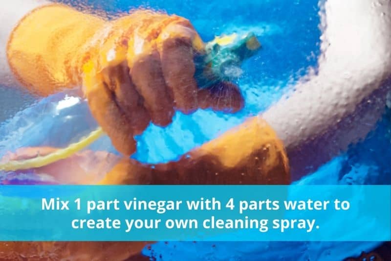 DIY Vinegar Cleaning Spray Instructions