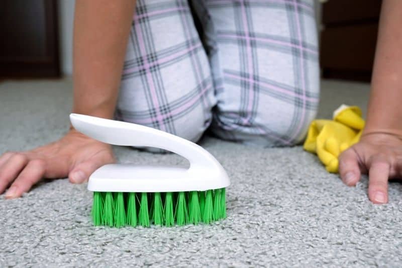 Use a Brush to Gently Scrub the Carpet