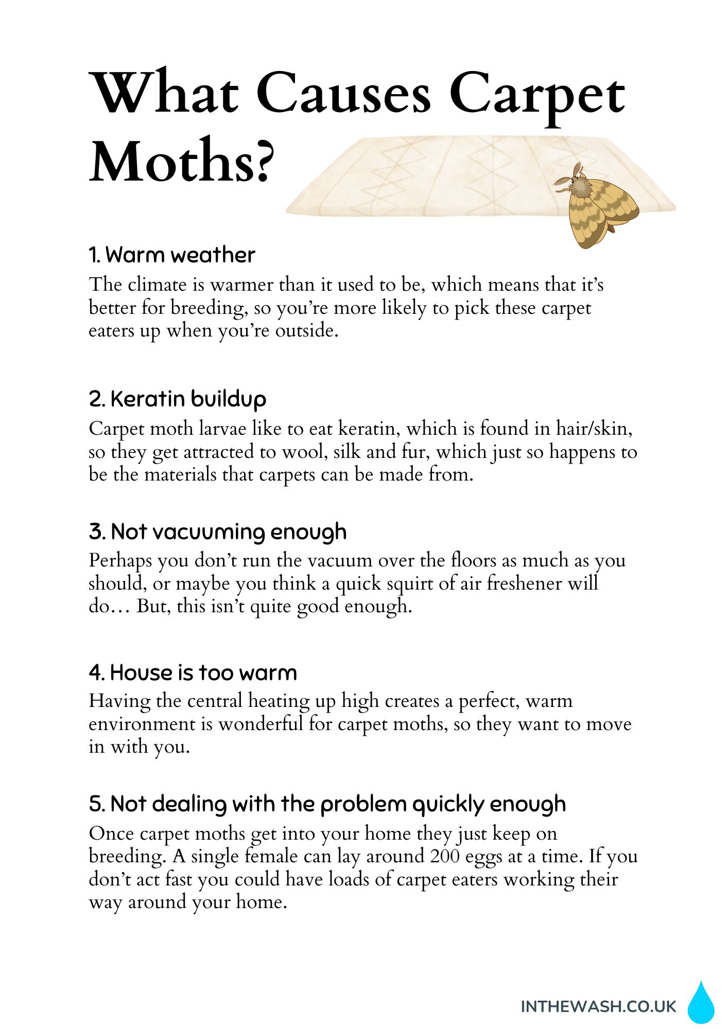 Things that cause carpet moths