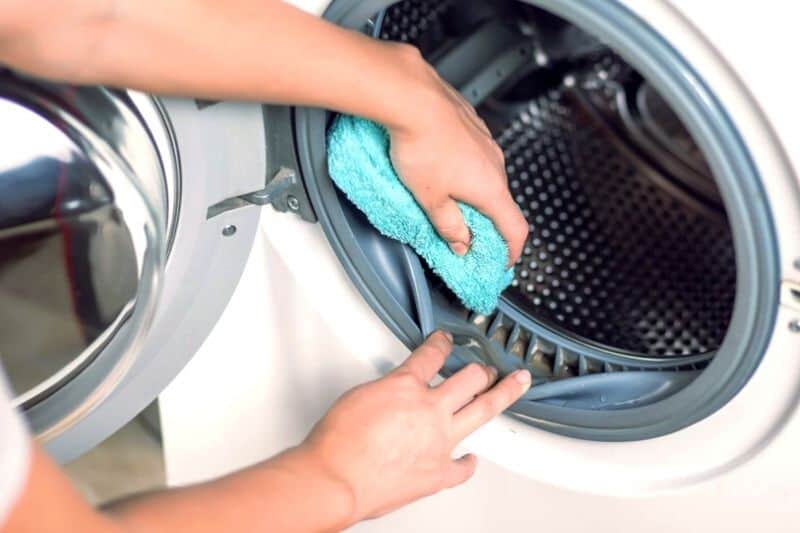 Clean Mould from Washing Machine Rubber