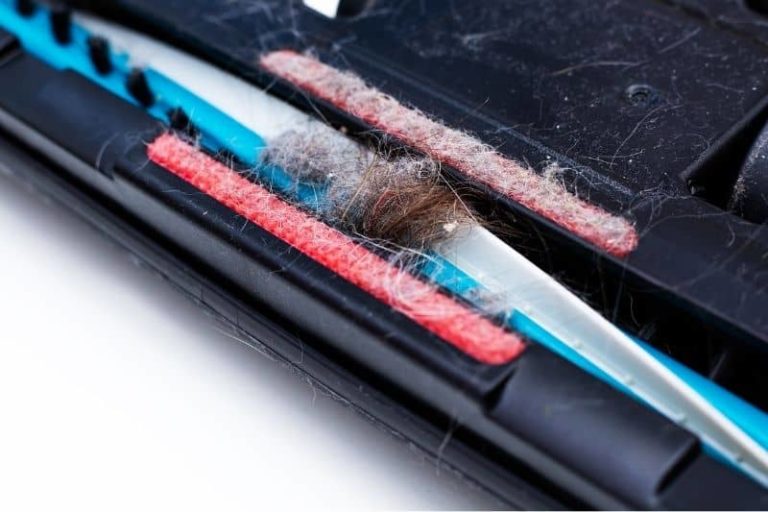 Vax Carpet Cleaner Is Not Picking Up Water Causes and Solutions