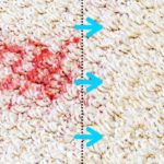 How to Get Lipstick Out of The Carpet