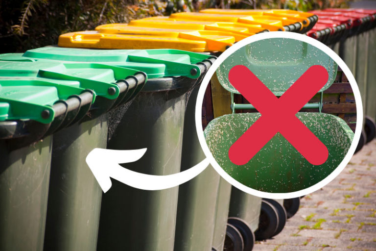 How to Prevent Maggots in Your Wheelie Bin