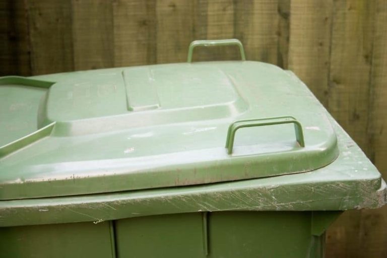 How to Prevent Maggots in Your Wheelie Bin