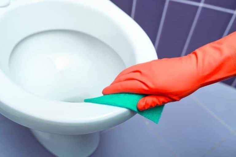 How to Unblock Your Toilet Using Caustic Soda