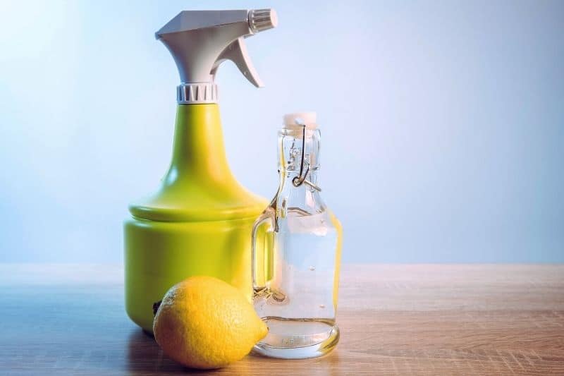 Homemade Citrus Cleaner