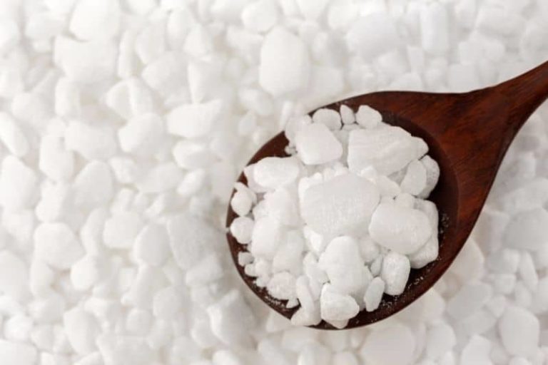 Should the Dishwasher Salt Reservoir Be Full of Water?