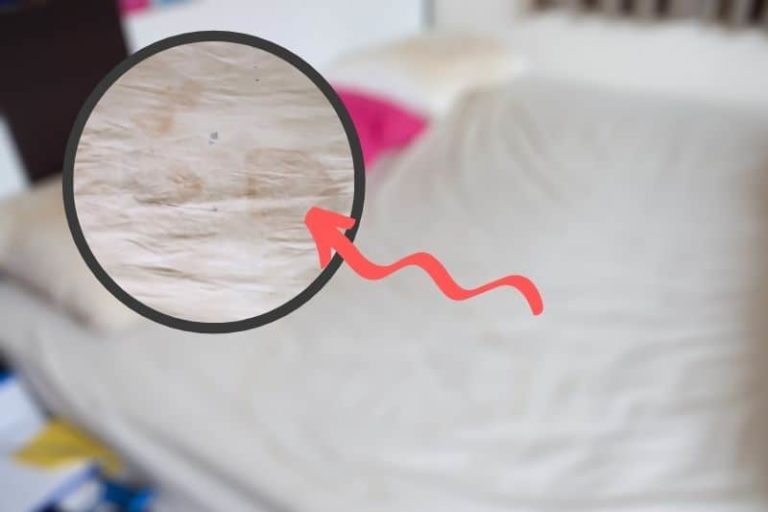 Can You Wash a Double Duvet in a 7 kg Washing Machine?