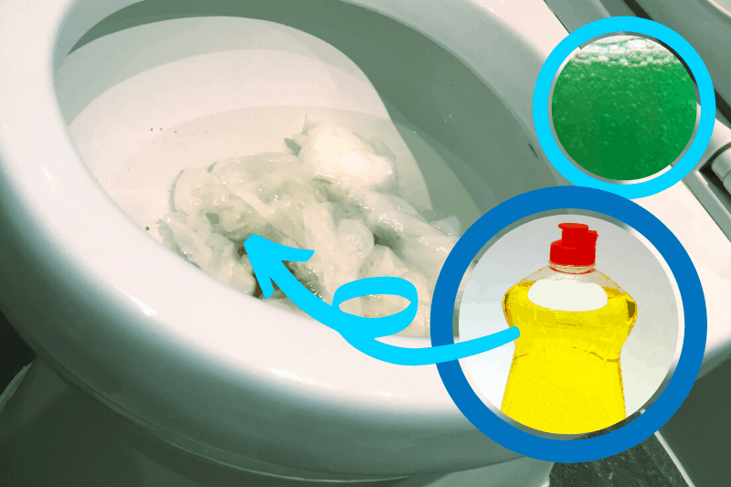 How to Unblock a Toilet with Washing Up Liquid