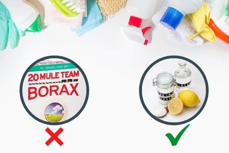 What Can You Use as an Alternative to Borax?