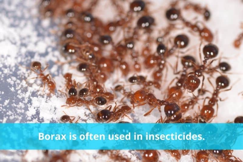 Borax in Pesticides