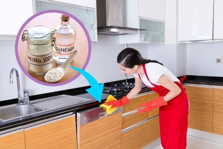 cleaning-a-dishwasher-with-vinegar-everything-you-need-to-know