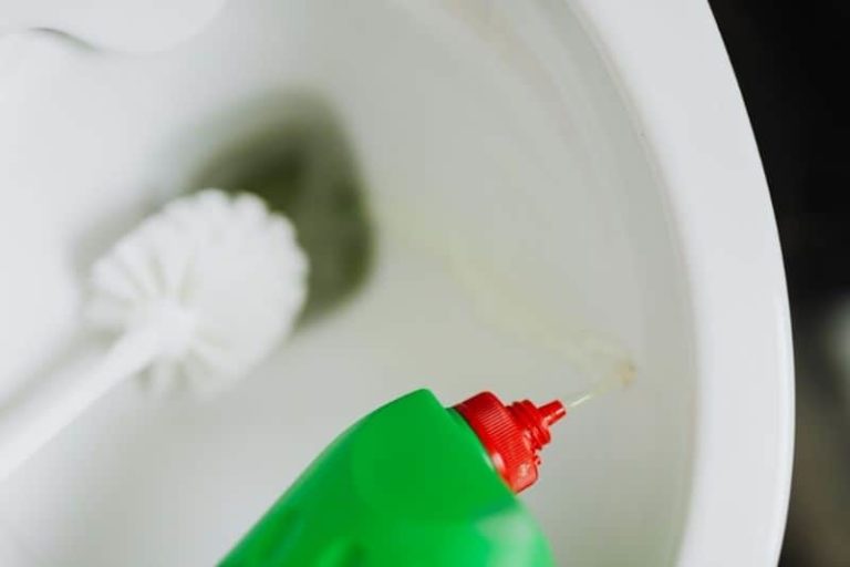 Can You Unblock a Toilet With Soda Crystals?