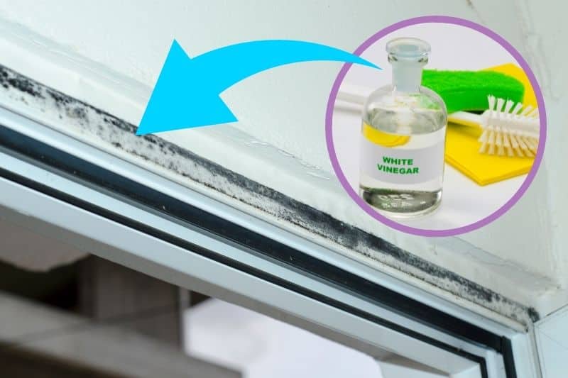 Cleaning Mould Off the Windows with Vinegar