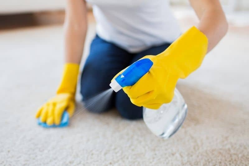 Cleaning Stain Resistant Carpet with Bleach