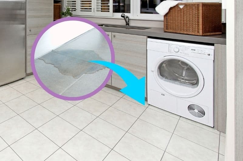 https://inthewash.co.uk/wp-content/uploads/2021/07/Condenser-Dryer-Leaking-Water-on-the-Floor.jpg