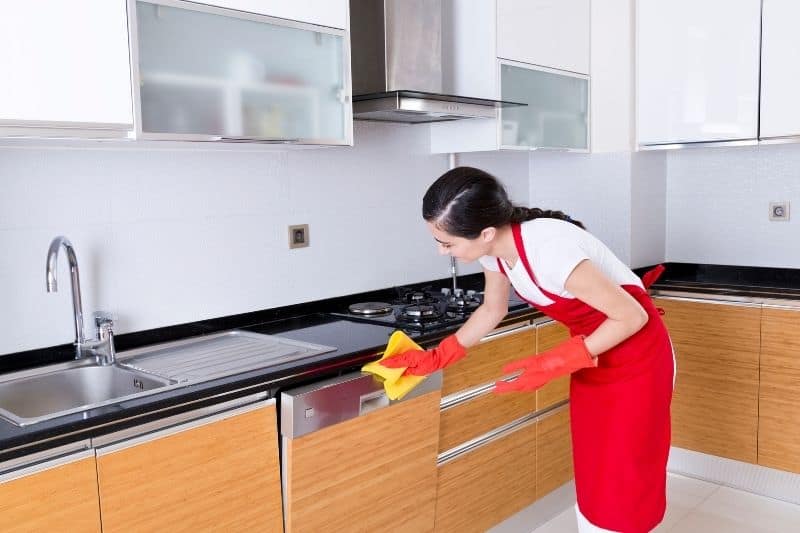 Cleaning a Dishwasher