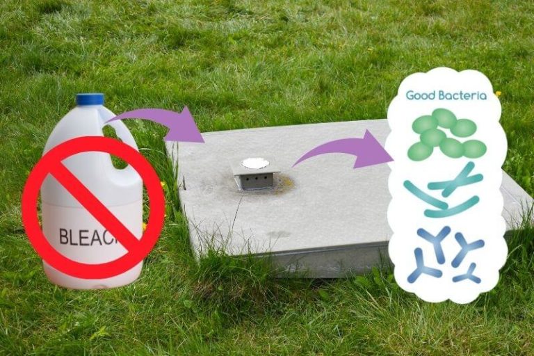 Is Toilet Duck Safe for Septic Tanks?