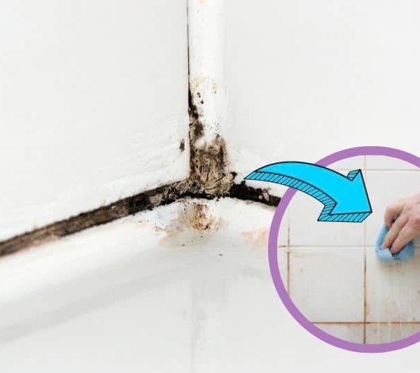 In The Wash For cleaner clothes and happier homes!