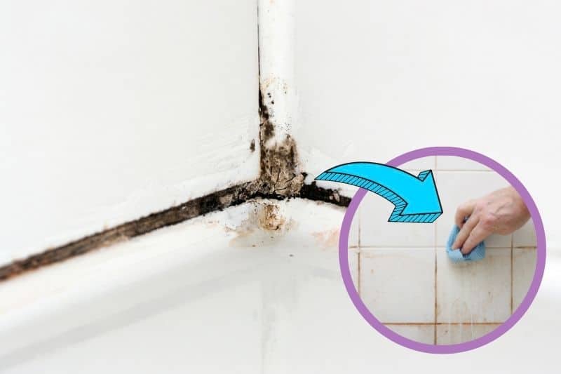 How To Clean Mould Off Bathroom Sealant - What To Clean Bathroom Mold With
