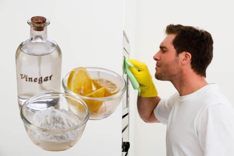 Cleaning Fan-Assisted Oven with Homemade Remedies