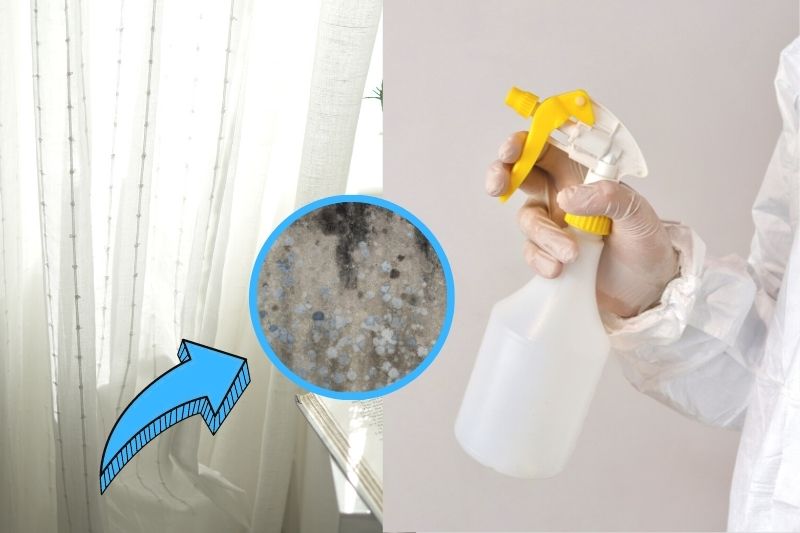 How to Get Mould Out of Curtains