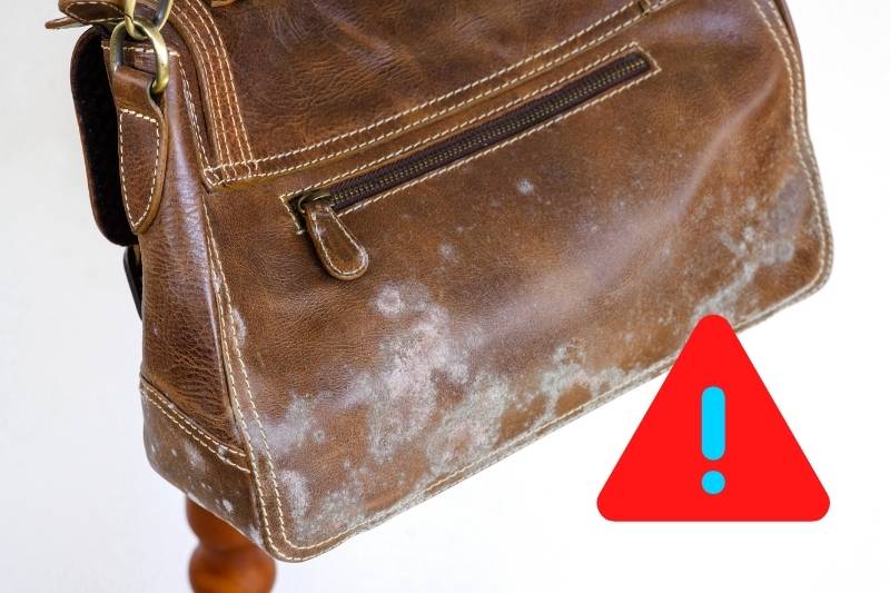 Keep a close eye for moulds on shoes, leather garments, and bags