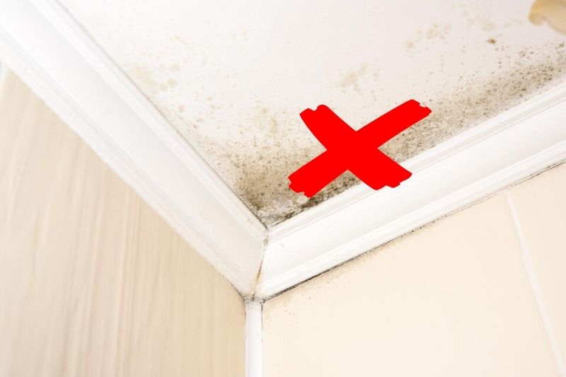 eliminate mould to reduce household dust