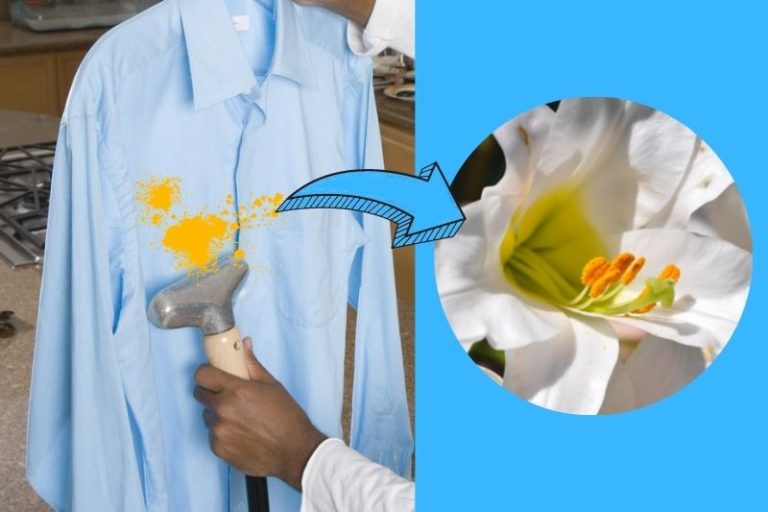 How to Get Lily Pollen Out of Clothes