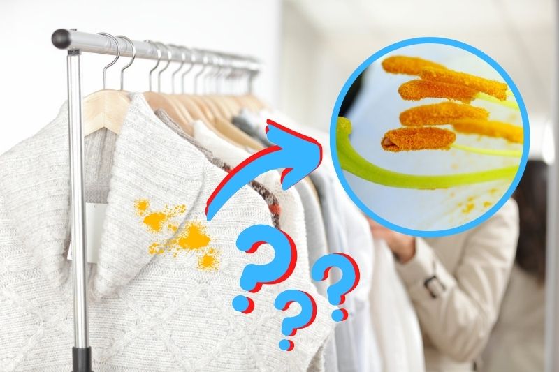 How to Get Lily Pollen Out of Clothes