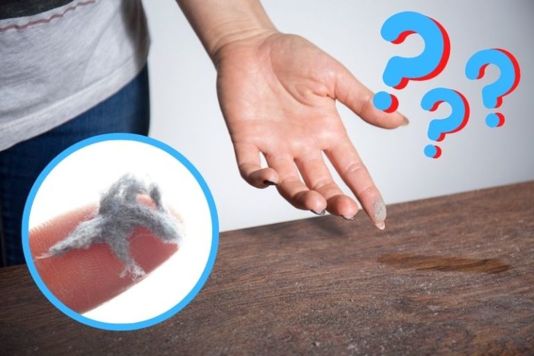 Why Is My House So Dusty? (And What to Do About It)