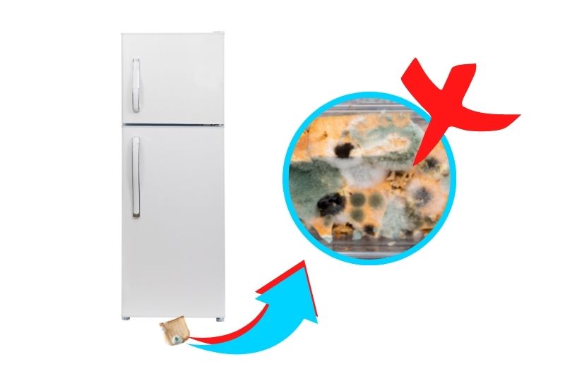 fridge smells due to Food Underneath the Fridge