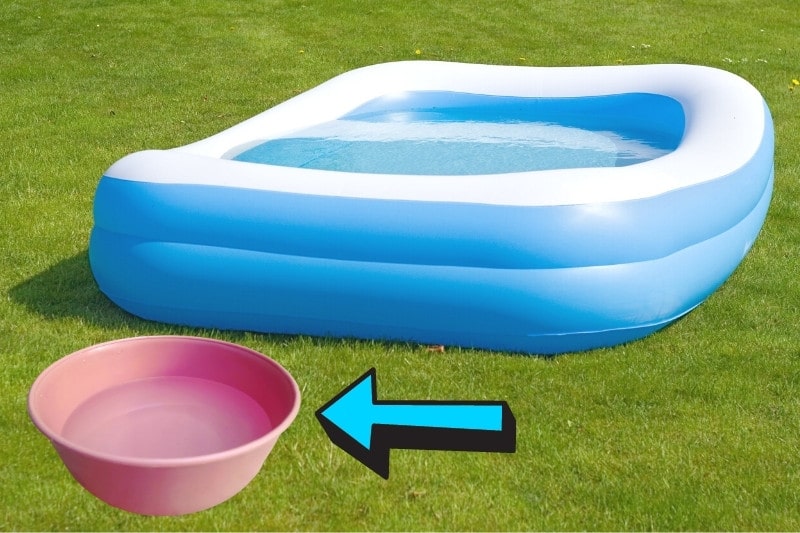 place a water bowl near paddling pool-min