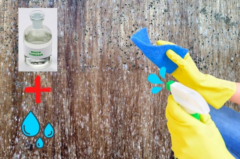 remove mould with vinegar and water