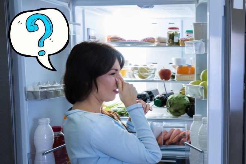 why fridge smells but with no rotten food