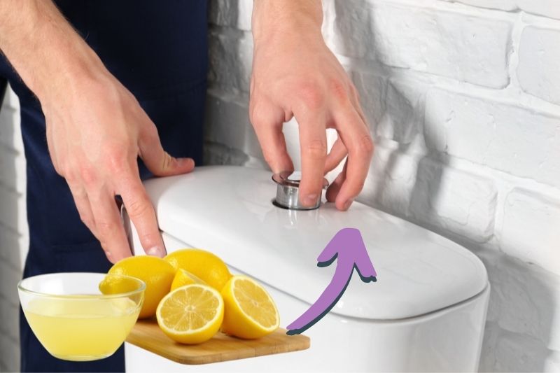 Clean a Toilet Cistern with lemon juice