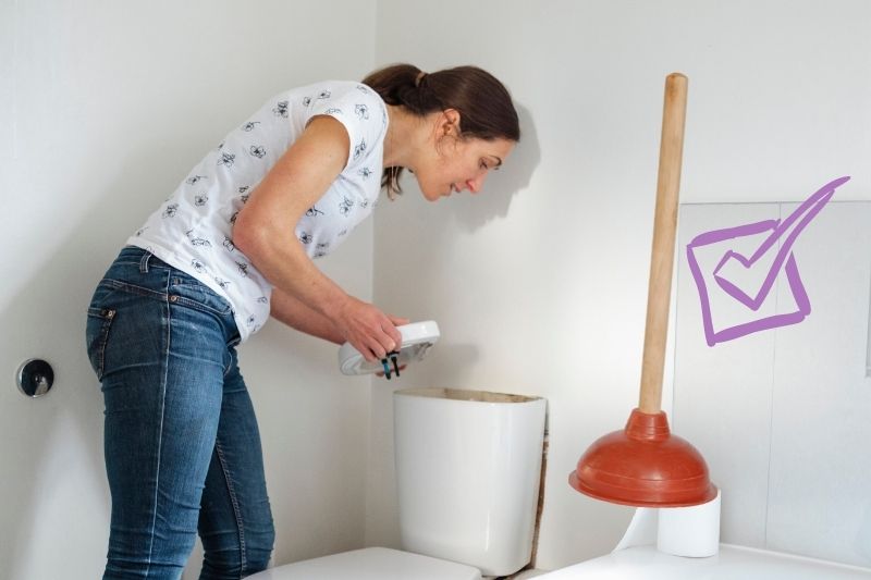 Clean a Toilet Cistern with toilet plunger