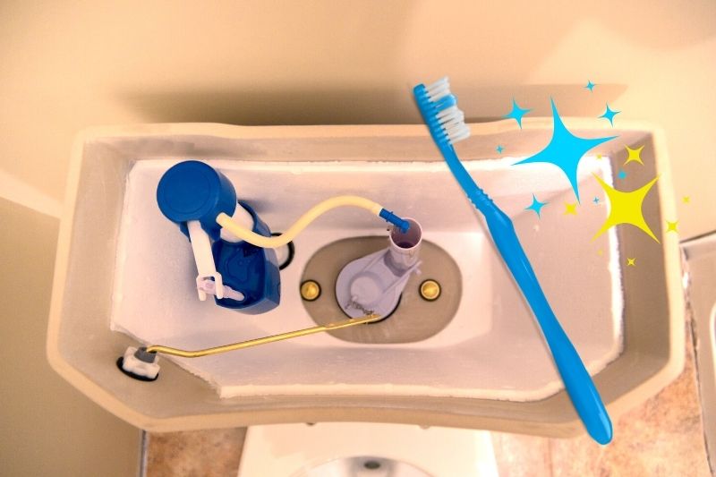 Clean a Toilet Cistern with toothbrush