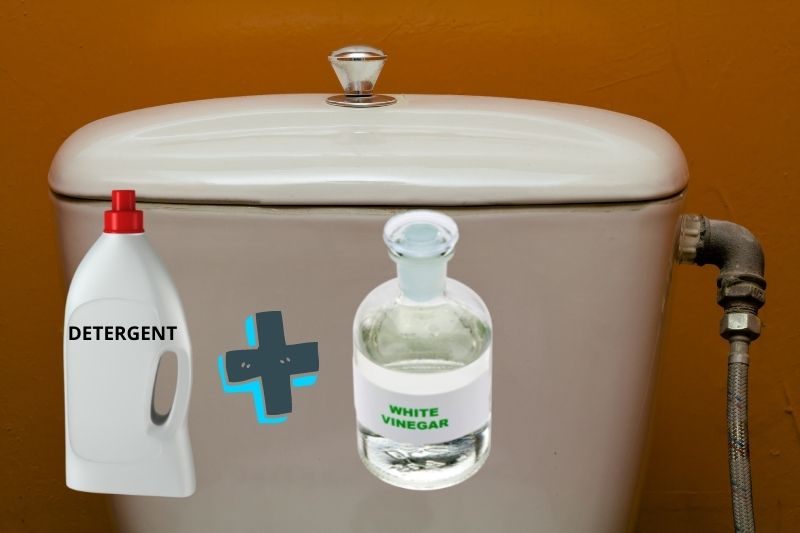 Clean a Toilet Cistern with vinegar and detergent