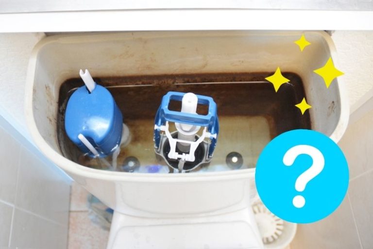 How to Clean a Toilet Cistern